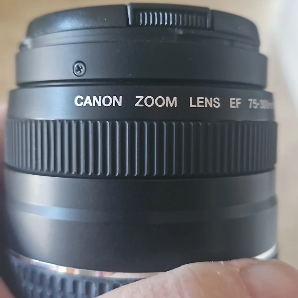 Canon EOS Rebel T3 DSLR - Picture 8 of 11
